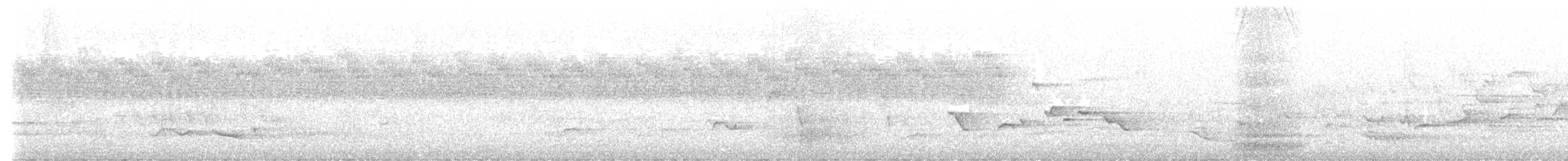 River Warbler - ML574941001