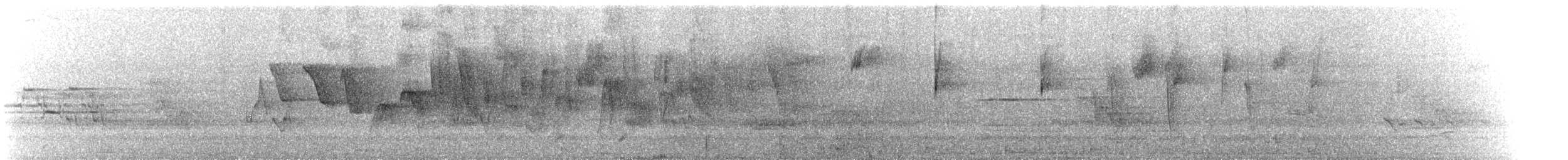 ミナミミズツグミ - ML574943351