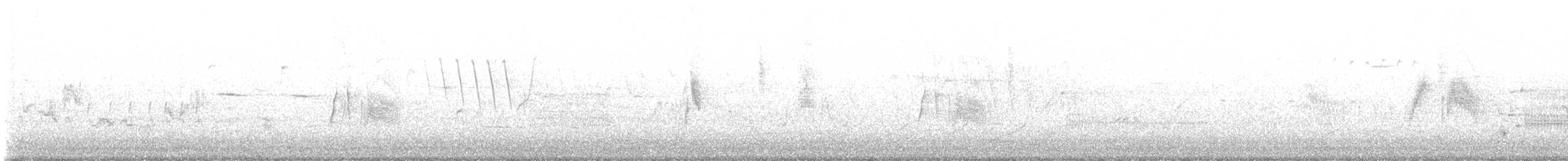 tyranovec vrbový - ML574955051