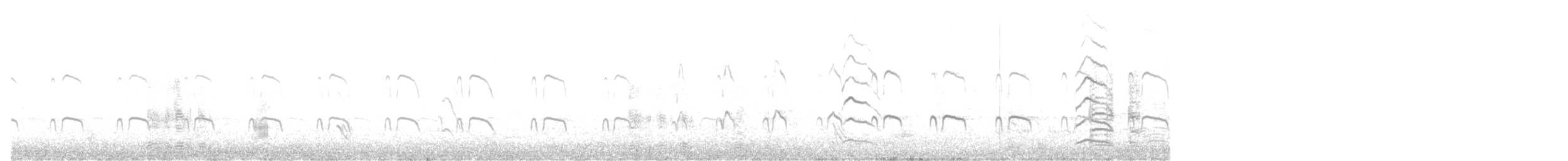 Eurasian Oystercatcher - ML574988591