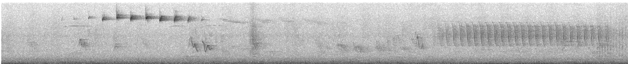 Blackpoll Warbler - ML574991451