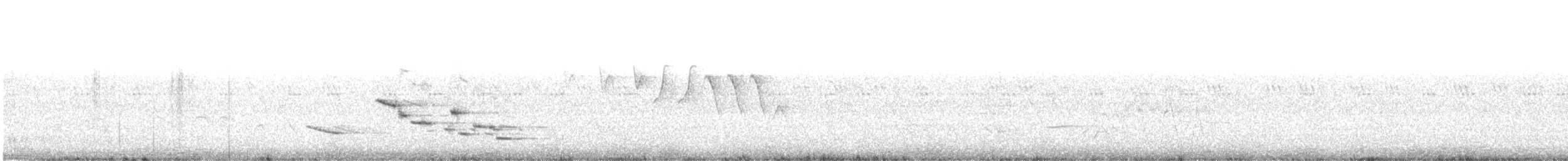 Sturnella meadowlark sp. - ML574991541