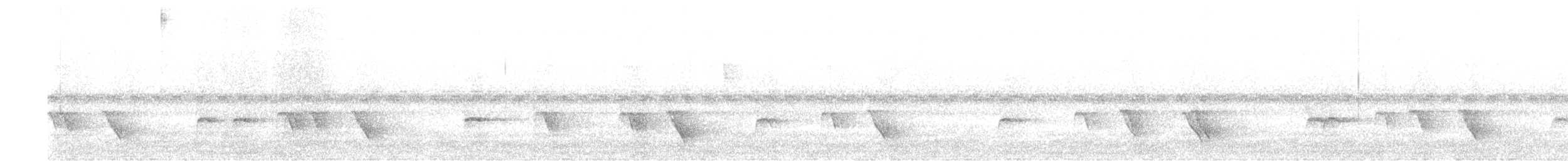 Troglodyte coraya - ML574992071