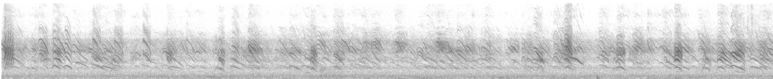 mursvale (pyrrhonota gr.) - ML575002751