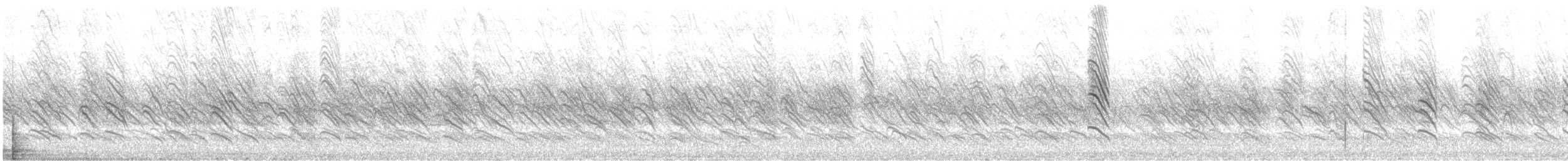 Hirondelle à front blanc (groupe pyrrhonota) - ML575003141