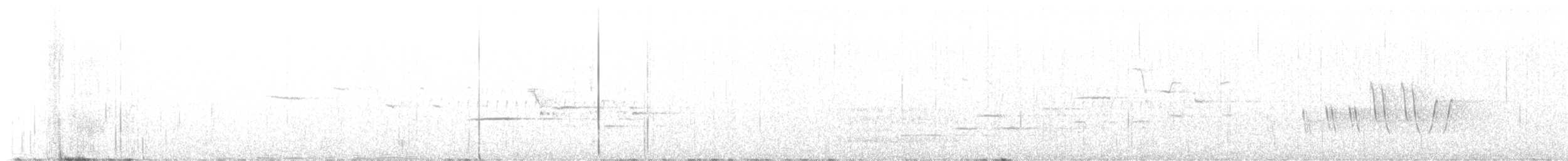 Münzevi Bülbül Ardıcı - ML575004841