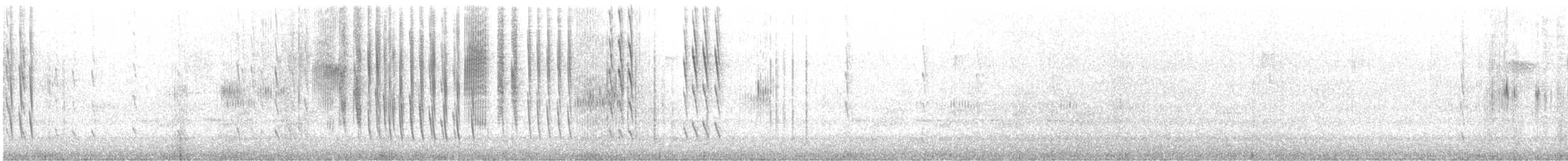Kara Boğazlı Kolibri - ML575006991