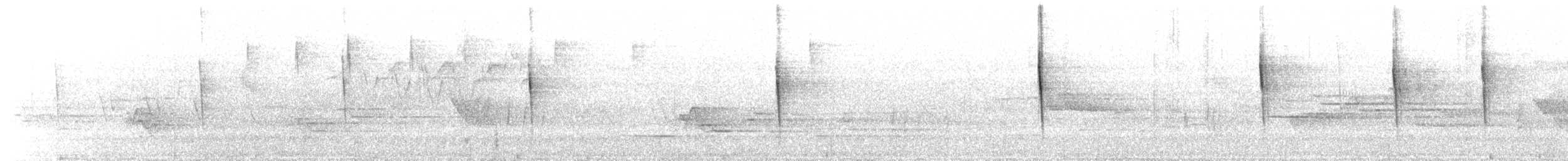 フタスジアメリカムシクイ - ML575007011