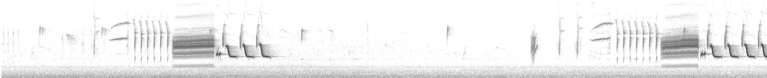 Bewick Çıtkuşu - ML575008491