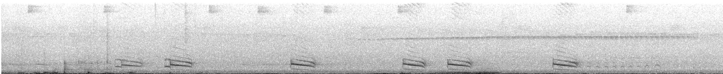 svartnakkemaurvarsler - ML575037281