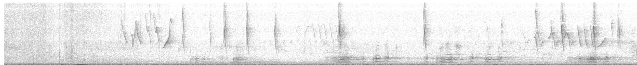 Yellow Warbler (Northern) - ML57505871