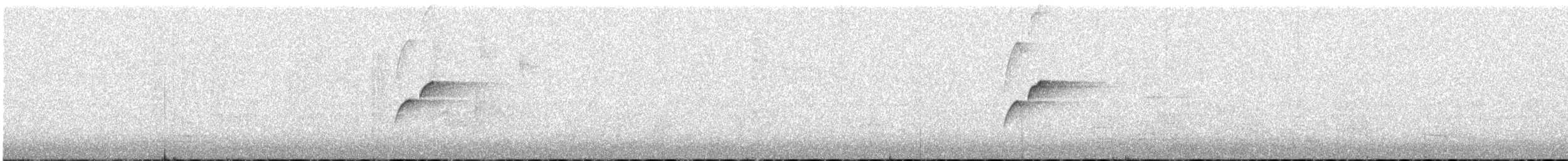 Batı Amerika Sinekkapanı (occidentalis/hellmayri) - ML575075061