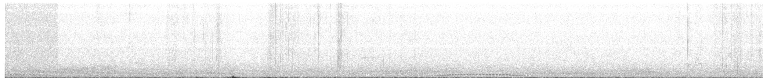 holub šedobřichý - ML57510281