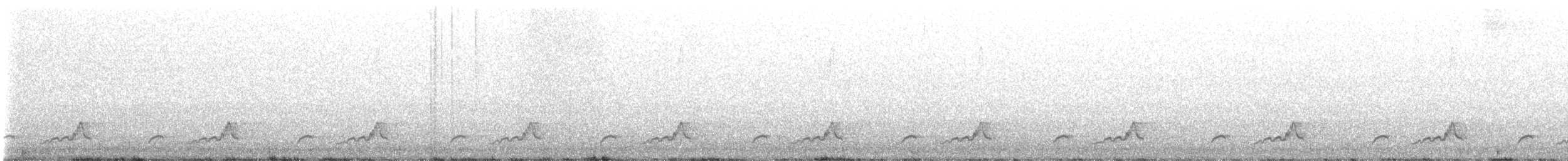 Schwarzkehl-Nachtschwalbe - ML575106381