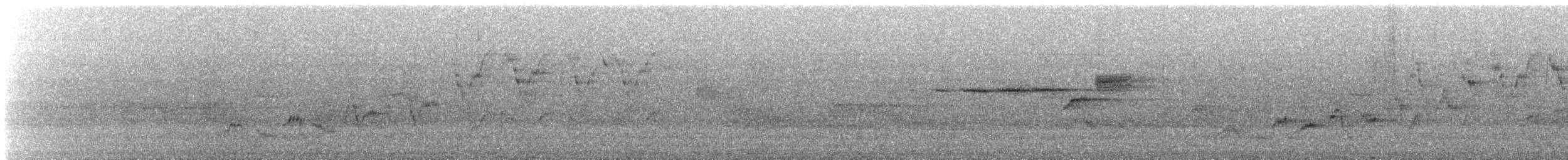 Дрізд-короткодзьоб Cвенсона - ML575147171