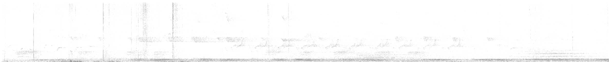 Голуб сизий (міський) - ML575206131