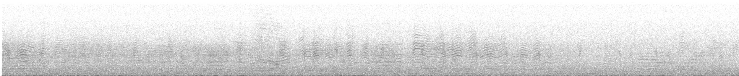 Cory's Shearwater (borealis) - ML575216411