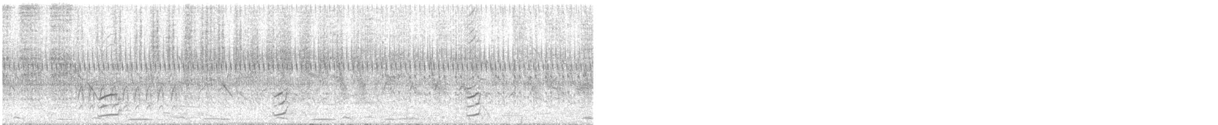 斑胸秧雞 - ML575216551