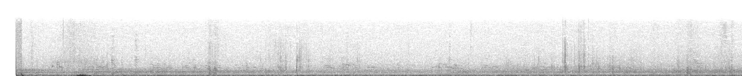 tanımsız kaz (Anser/Branta sp.) - ML575218211
