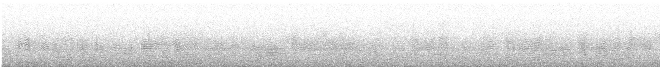 Буревісник cередземноморський (підвид borealis) - ML575218641