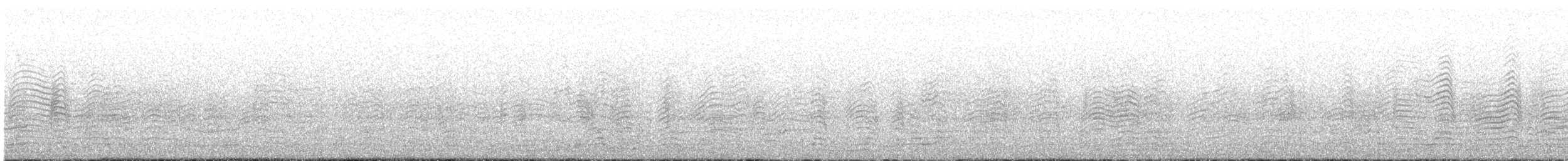 Puffin cendré (borealis) - ML575218721