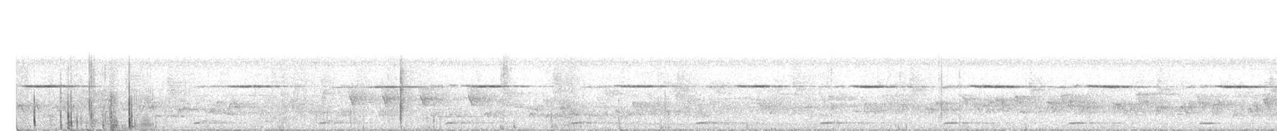 Batis Carunculado de Jameson - ML575219281
