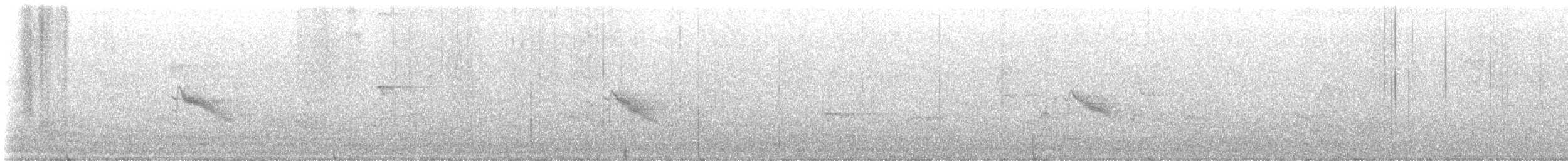 gråkinnskogtrost/irokeserskogtrost - ML575248821