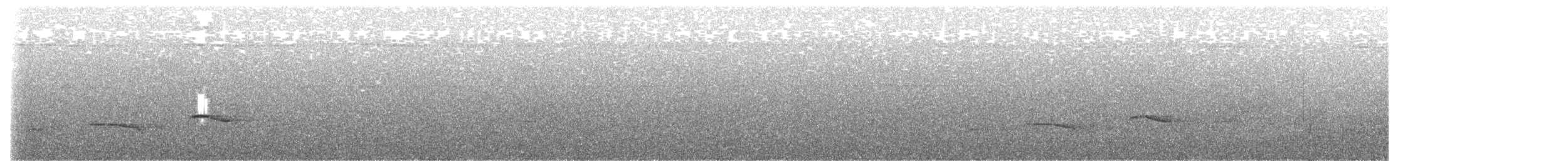 Тордина товстодзьоба - ML575251731