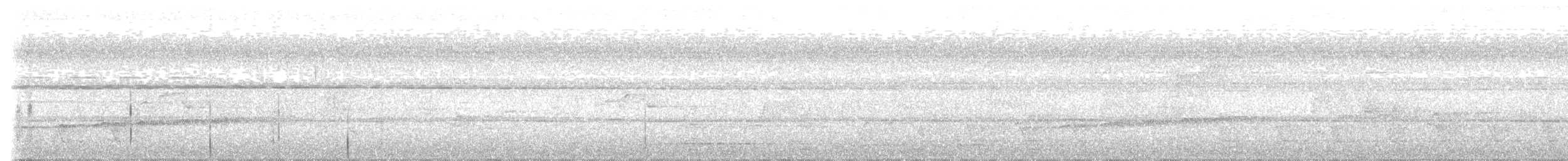 Дронговая кукушка - ML575253411