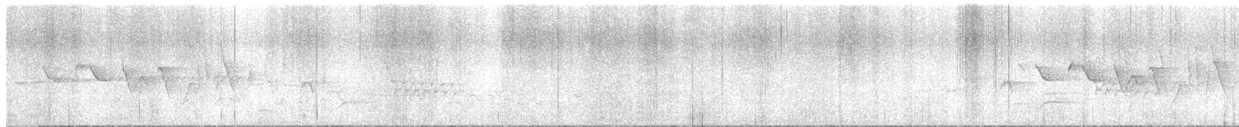 Трясогузковый певун - ML575256591