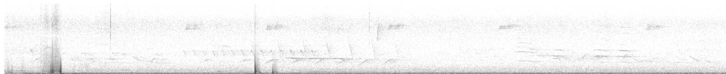 Paruline à gorge grise - ML575257301