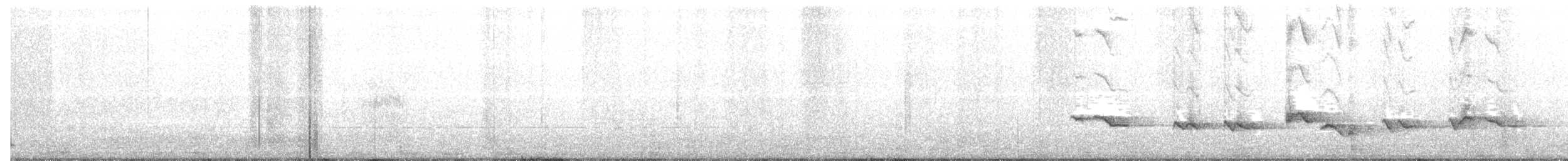 Summer Tanager - ML57528361
