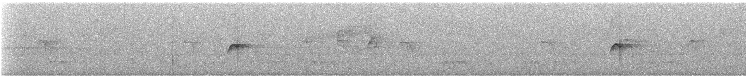 Тиран-крихітка сірощокий - ML575292501