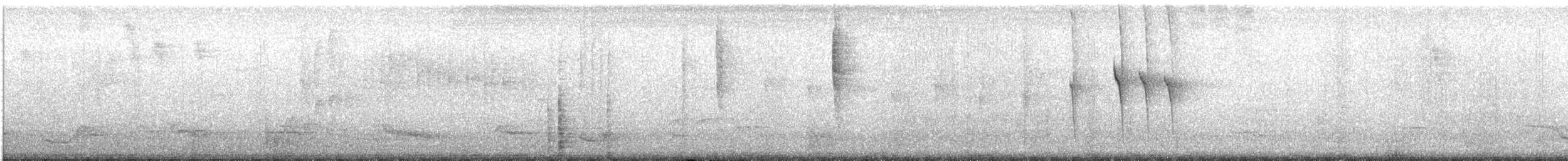 Фиолетовобрюхий колибри - ML575299921