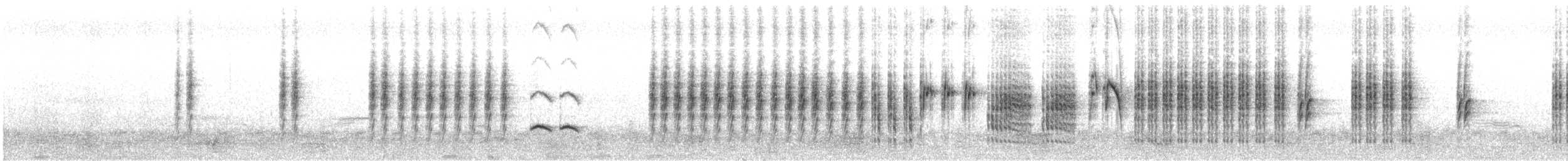 Phragmite des joncs - ML575306591