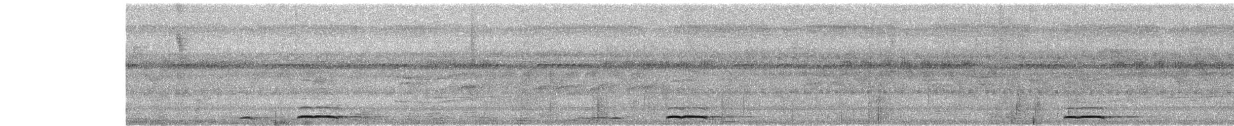 蘭嶼角鴞 - ML575314021