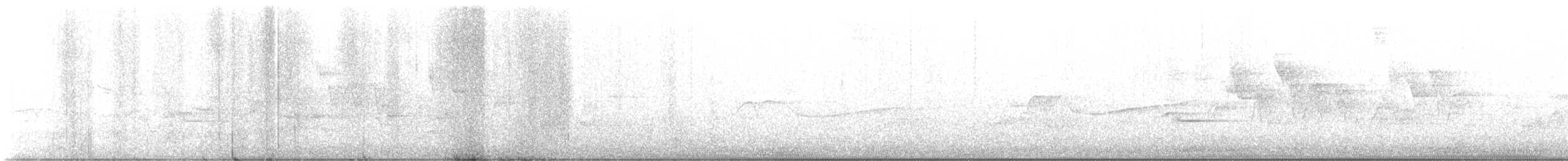 Canada Warbler - ML575317531