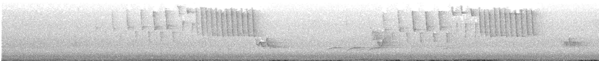 Червоїд світлобровий - ML575323361