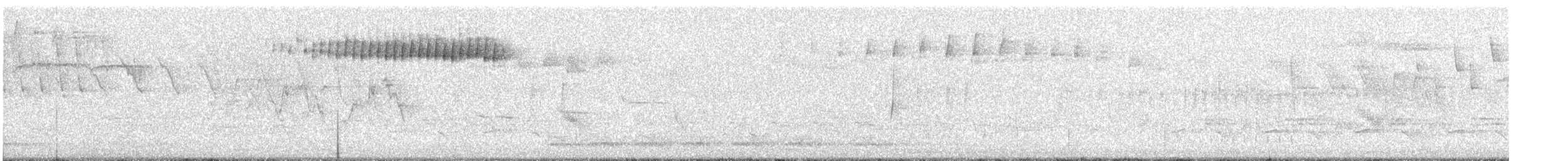 Blackpoll Warbler - ML57532881
