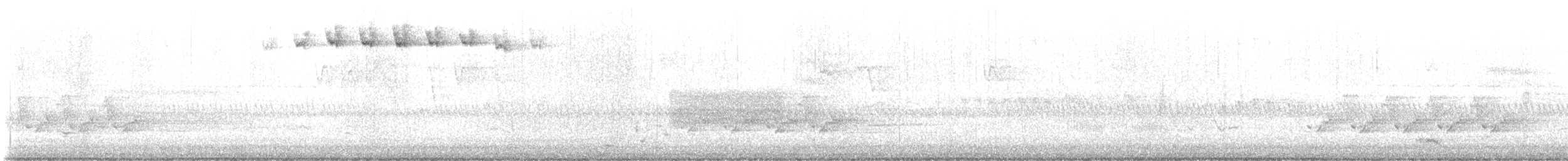 Blackpoll Warbler - ML575332351