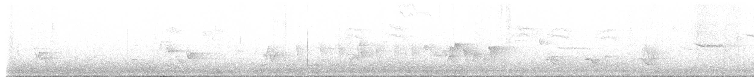 Paruline à gorge grise - ML575333001