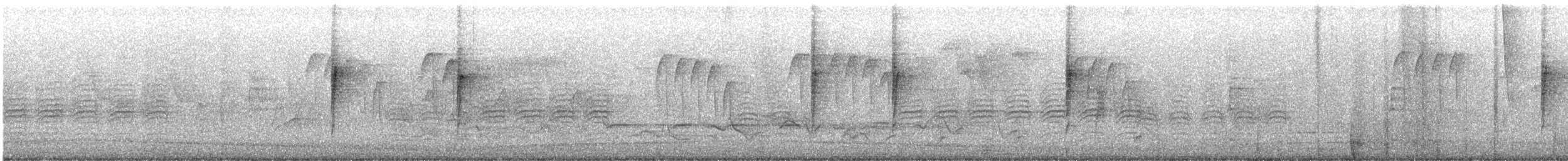 Mourning Warbler - ML575349211