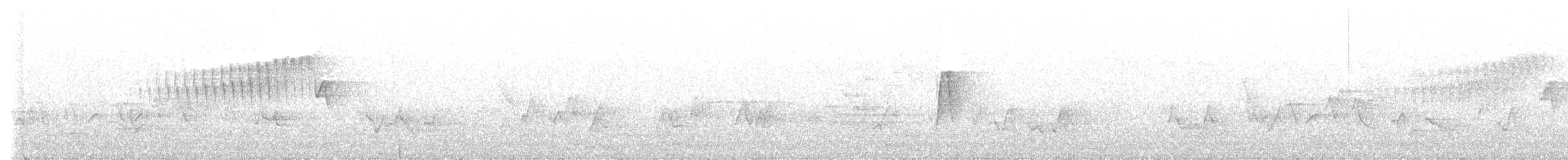 Buchenschnäppertyrann - ML575357901