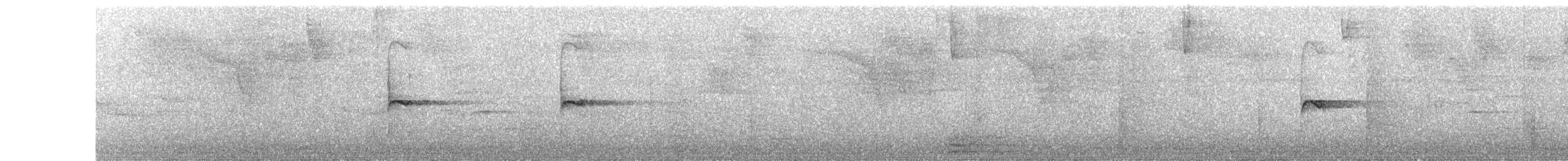 Антильский пиви (latirostris) - ML575364501