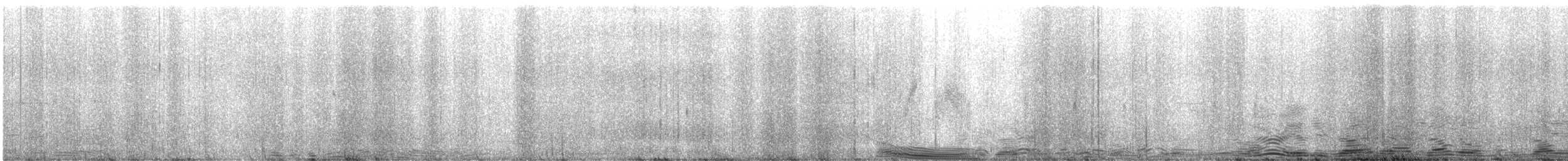tyranovec vrbový - ML575368811