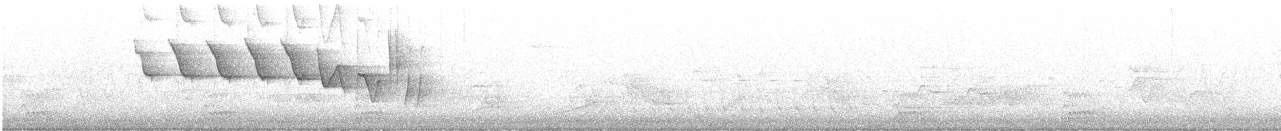 Трясогузковый певун - ML575410071