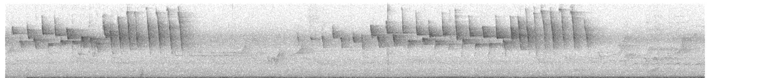 Brauenwaldsänger - ML575416421