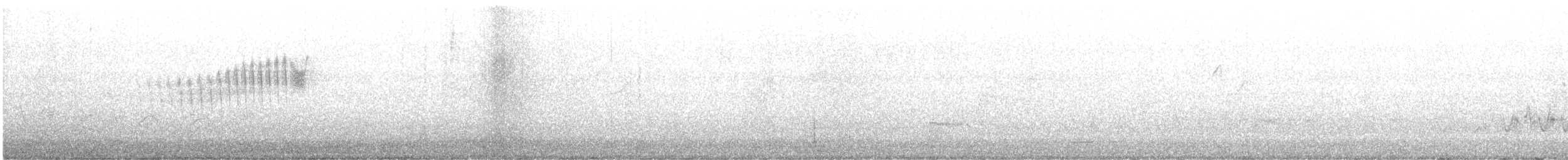 Northern Parula - ML575436361