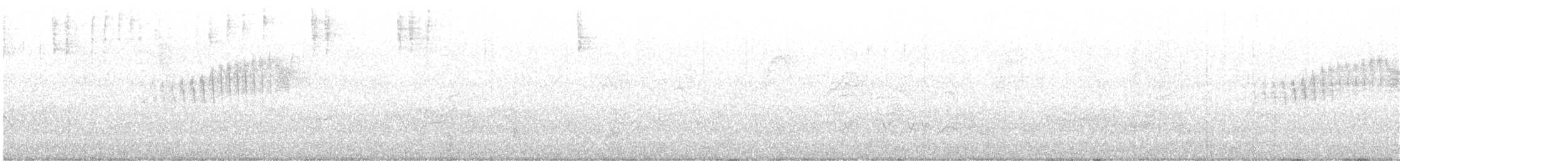 Northern Parula - ML575436431