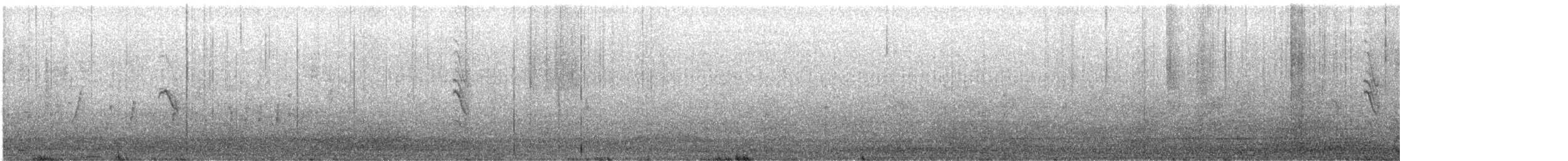 セスジツバメ（pallida） - ML575465221